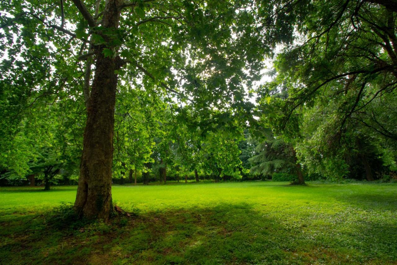 B & B Villa Dell'Usignolo Nerviano Dış mekan fotoğraf